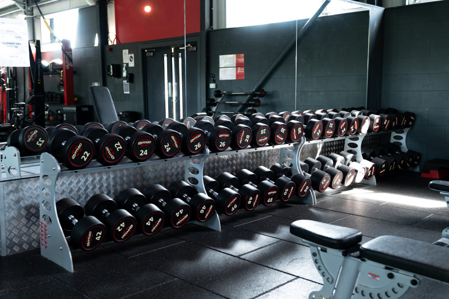 Avon Valley - Free Weights